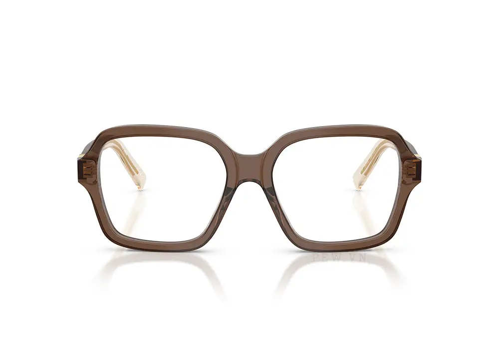 Gọng kính Miu Miu MU03YVF 23H1O1(54)