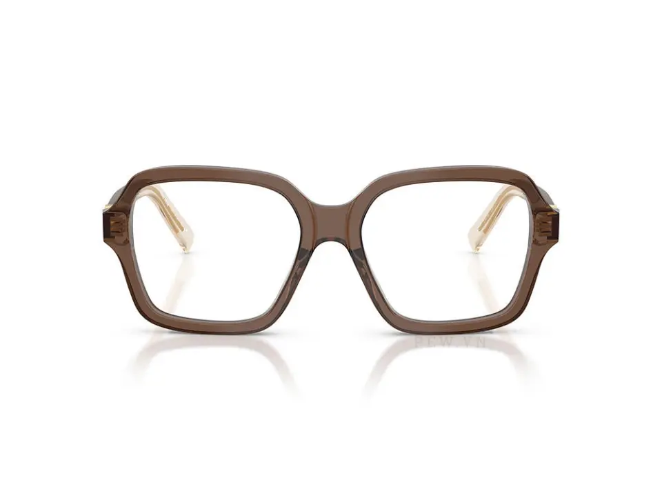Gọng kính Miu Miu MU03YVF 23H1O1(54)