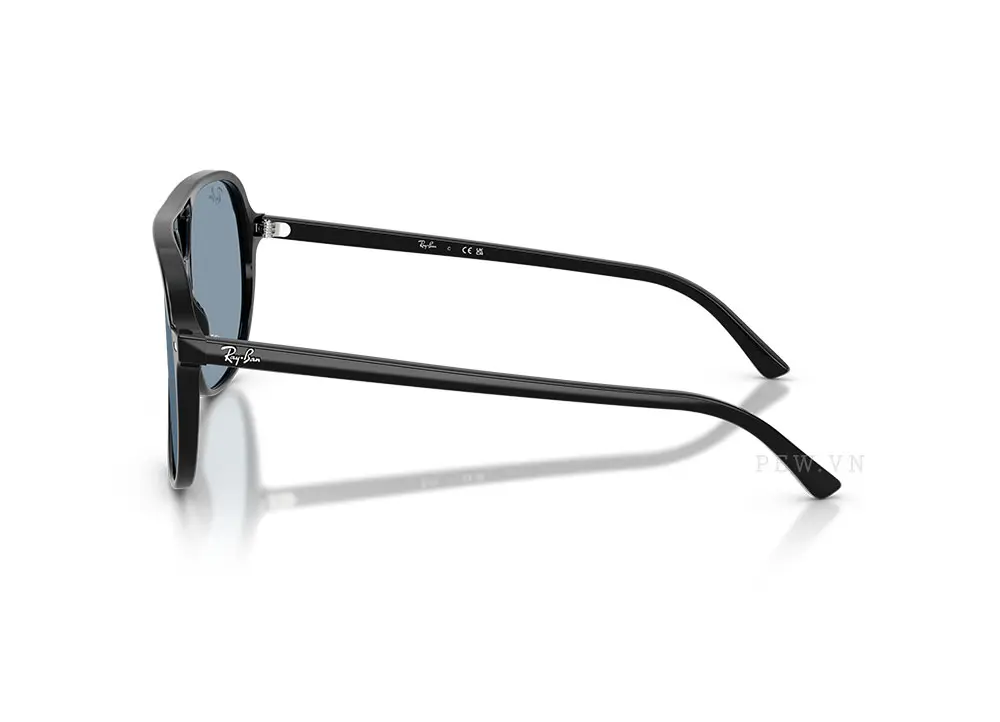 Kính mát Ray-Ban Bill RB2198-901/56(60)
