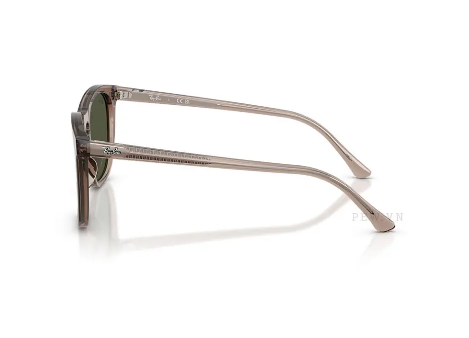 Kính mát Ray-Ban RB2210F-8457/31(53)
