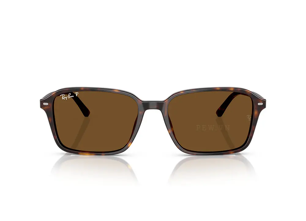 Kính mát Ray-Ban Raimond RB2231F-902/57(56)