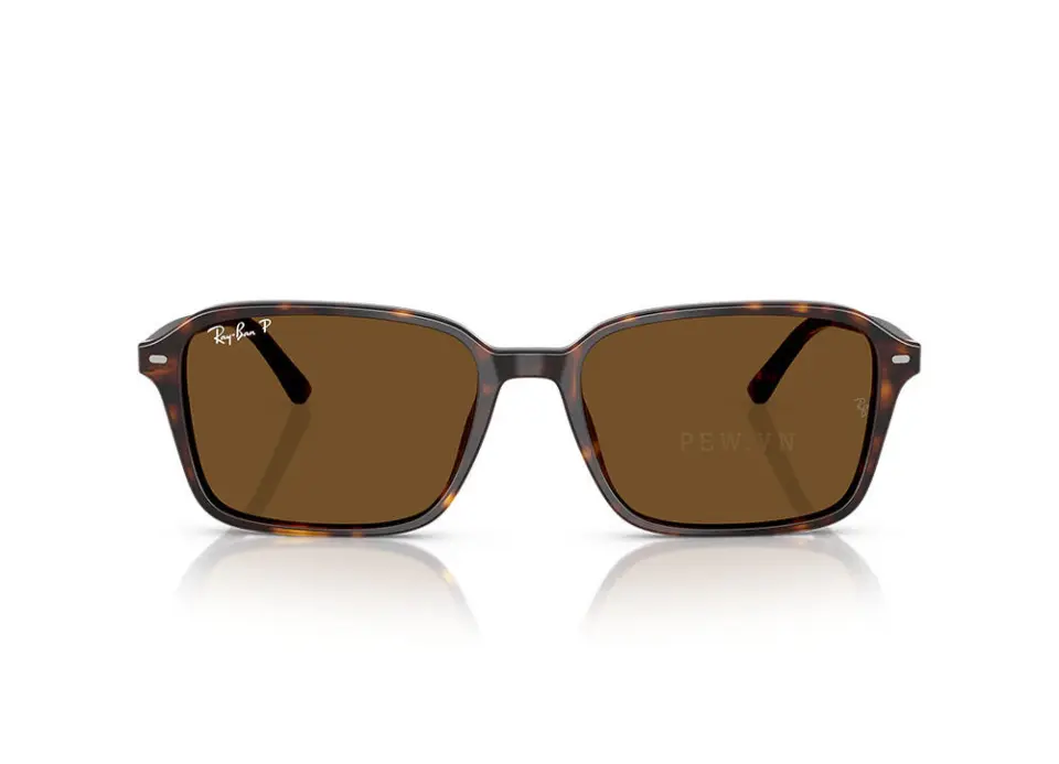 Kính mát Ray-Ban Raimond RB2231F-902/57(56)