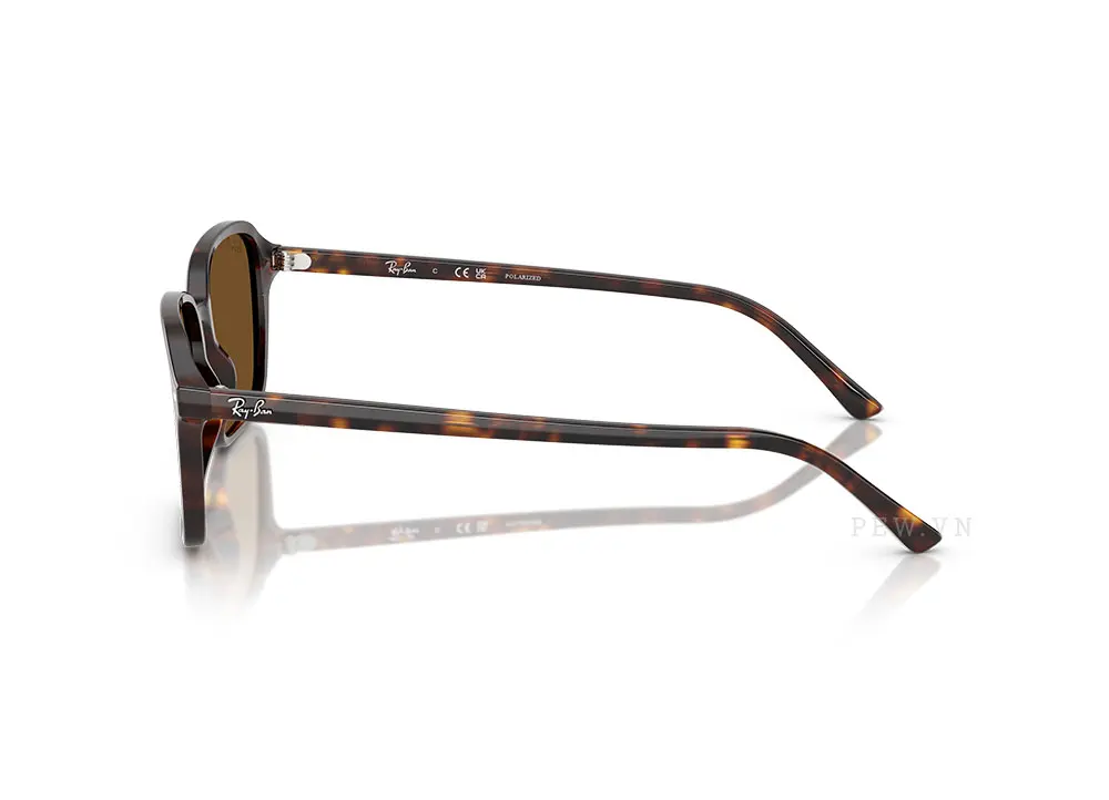 Kính mát Ray-Ban Raimond RB2231F-902/57(56)