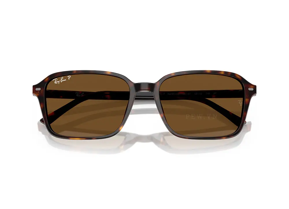 Kính mát Ray-Ban Raimond RB2231F-902/57(56)