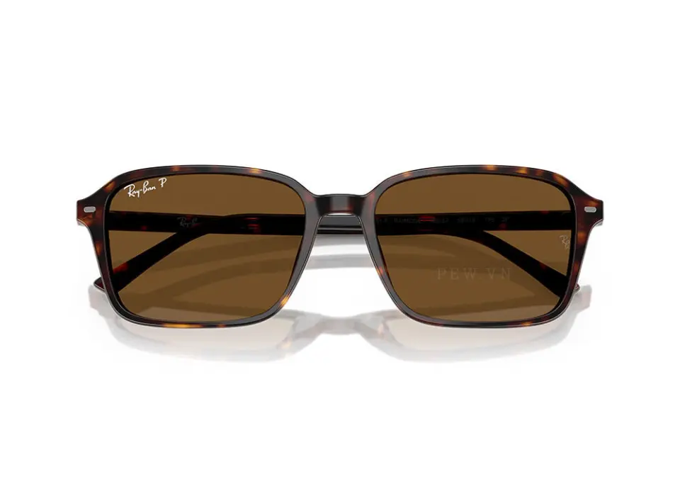 Kính mát Ray-Ban Raimond RB2231F-902/57(56)