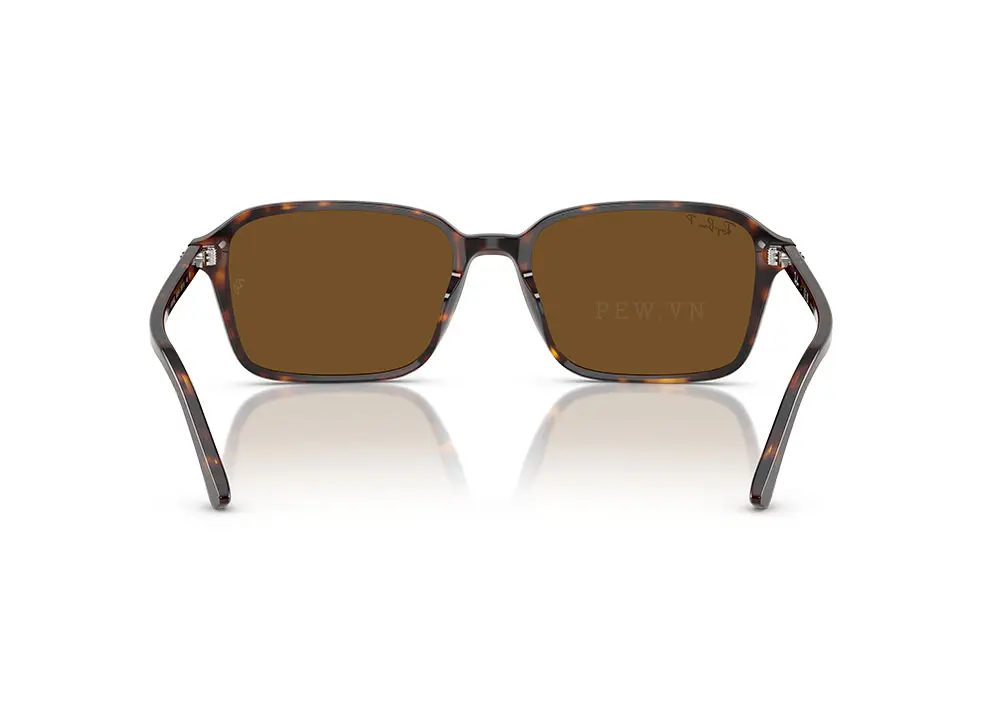 Kính mát Ray-Ban Raimond RB2231F-902/57(56)
