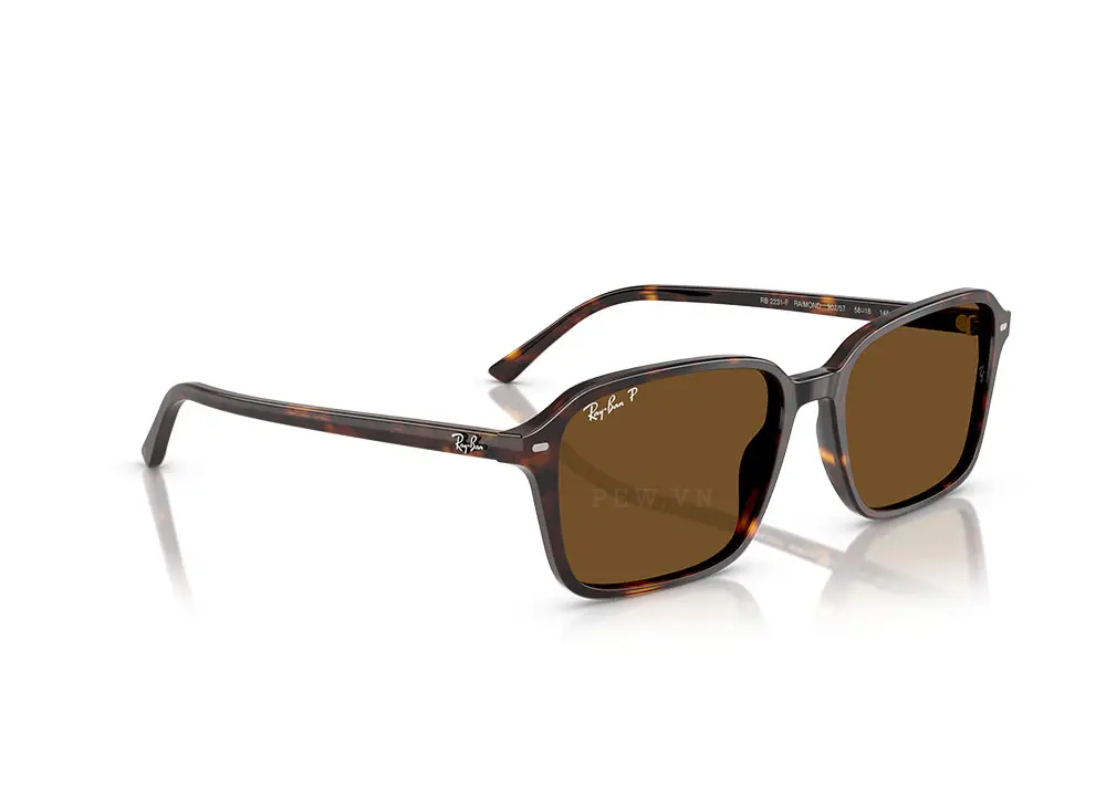 Kính mát Ray-Ban Raimond RB2231F-902/57(56)