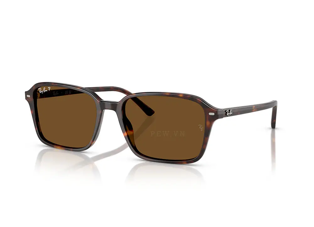 Kính mát Ray-Ban Raimond RB2231F-902/57(56)
