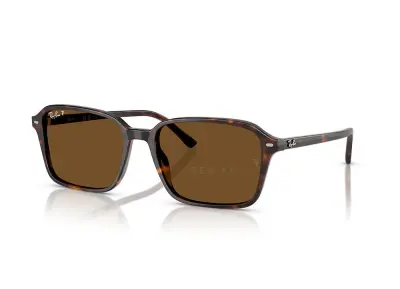 Kính mát Ray-Ban Raimond RB2231F-902/57(56)