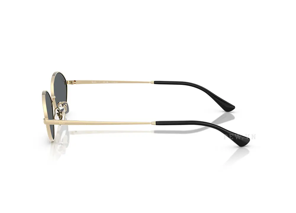 Kính mát Ray-Ban RB3757-9213/81(56)