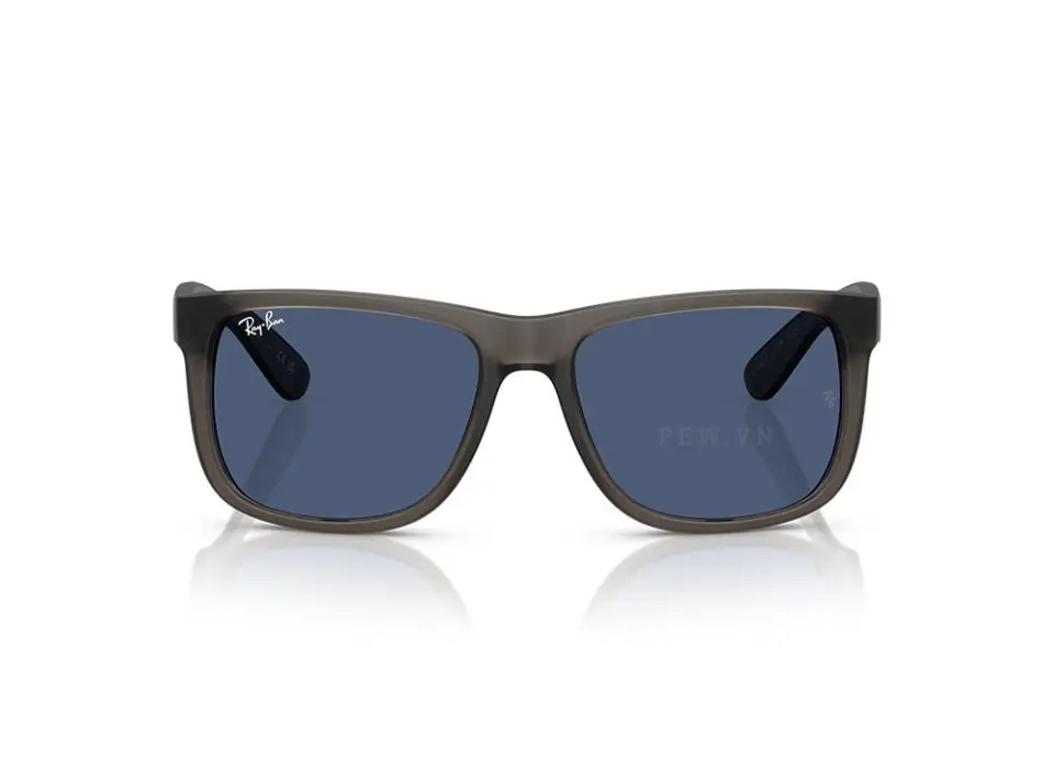 Kính mát Ray-Ban Justin RB4165F-6873/80(55)