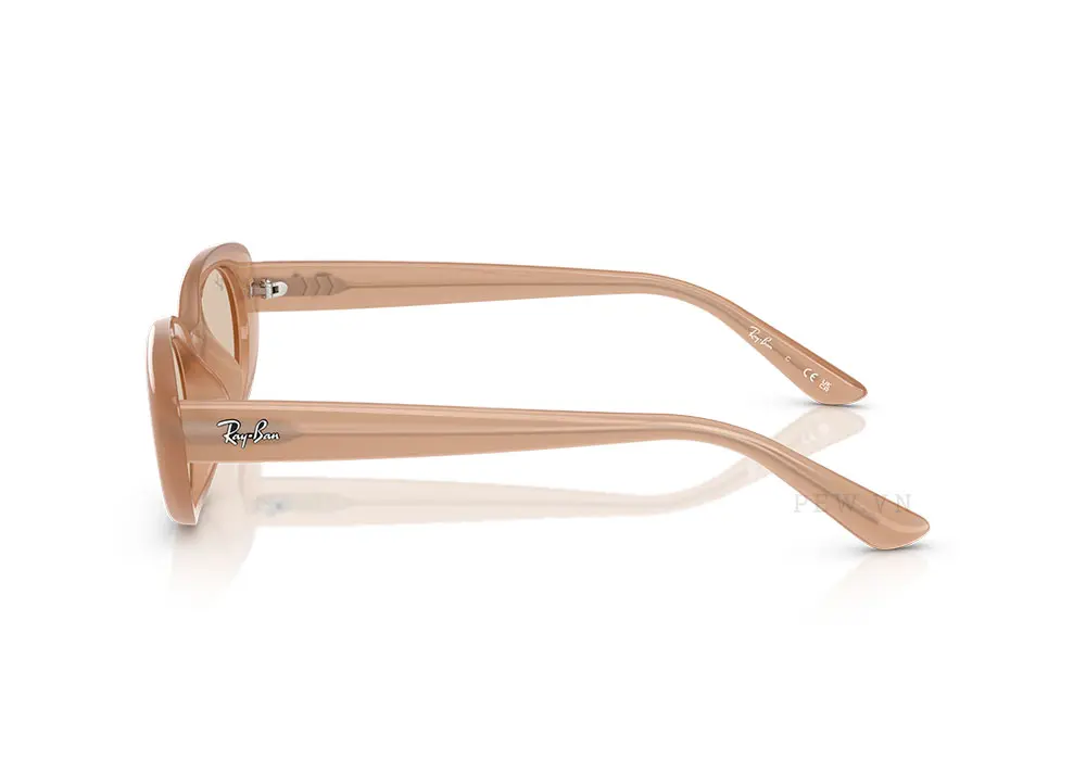 Kính mát Ray-Ban RB4441D-6787/93(53)