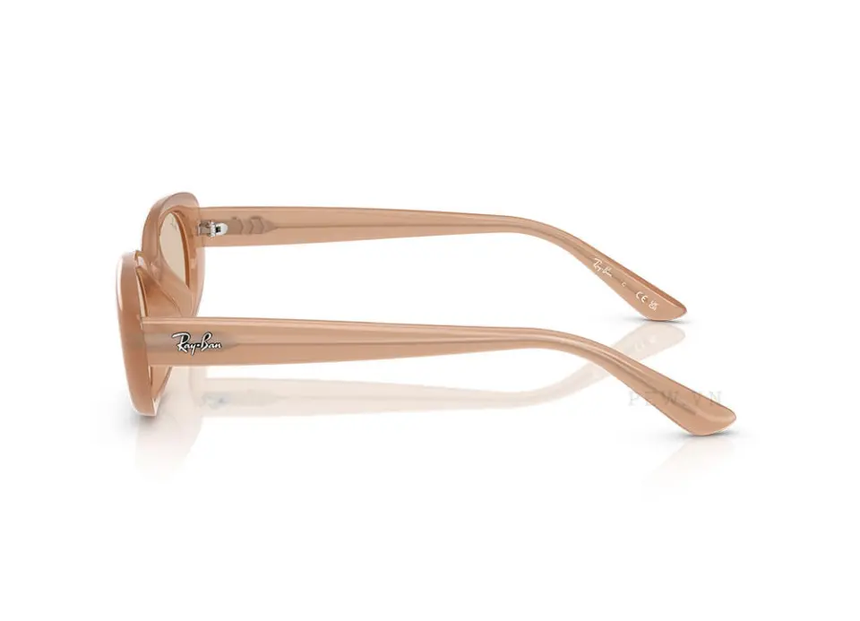 Kính mát Ray-Ban RB4441D-6787/93(53)