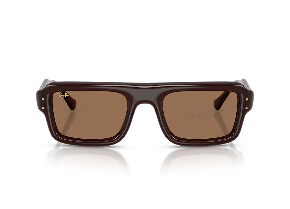 Kính mát Ray-Ban Flacko Puffer RB4954-6896/73(54)