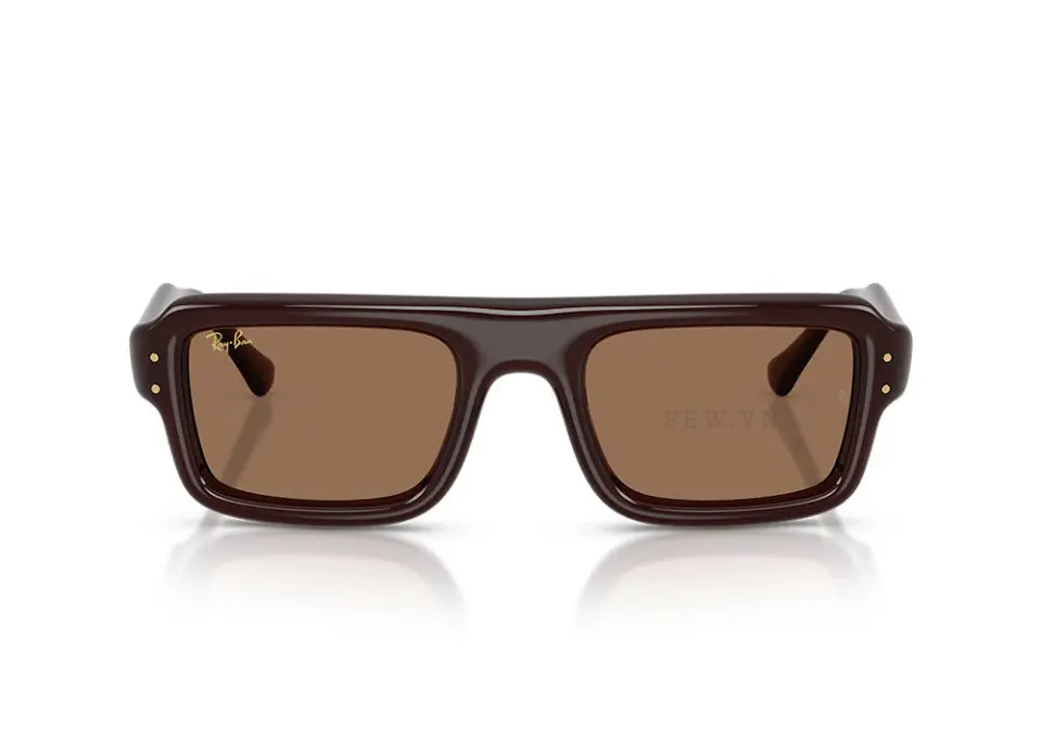 Kính mát Ray-Ban Flacko Puffer RB4954-6896/73(54)