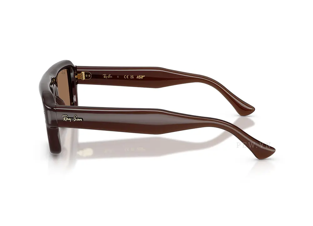 Kính mát Ray-Ban Flacko Puffer RB4954-6896/73(54)
