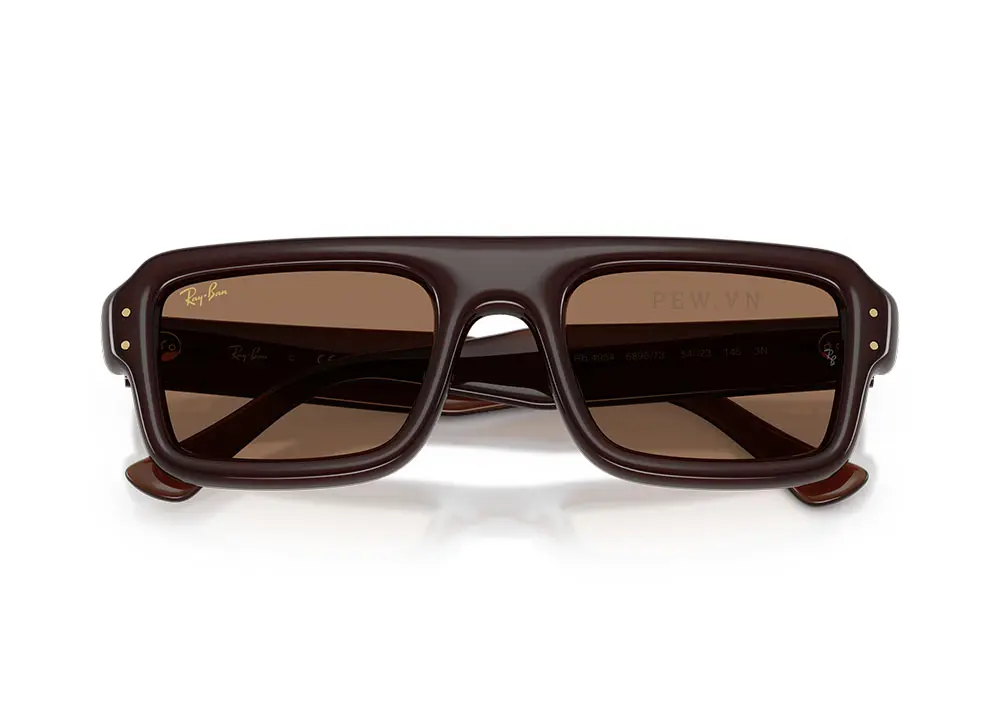 Kính mát Ray-Ban Flacko Puffer RB4954-6896/73(54)