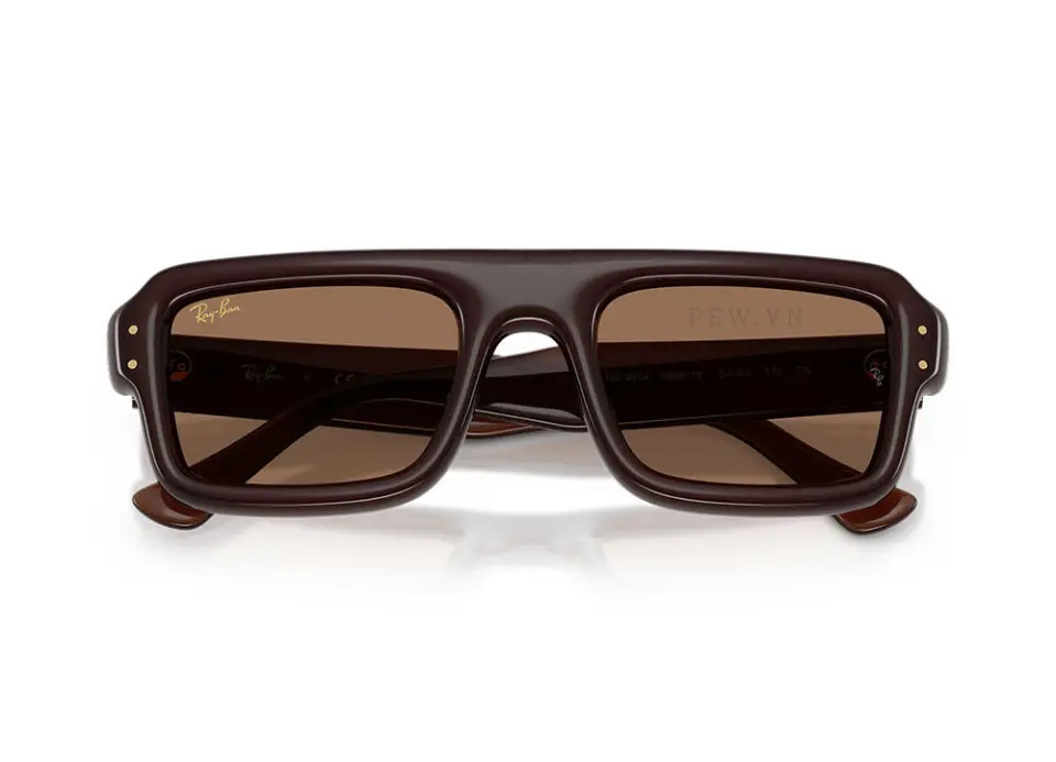 Kính mát Ray-Ban Flacko Puffer RB4954-6896/73(54)