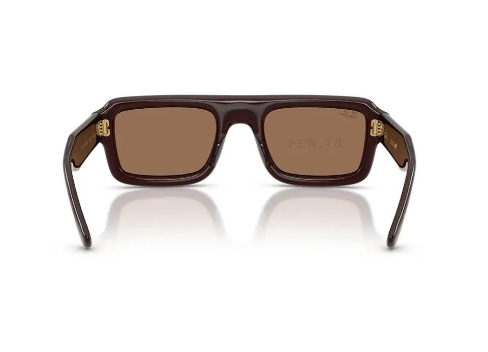 Kính mát Ray-Ban Flacko Puffer RB4954-6896/73(54)
