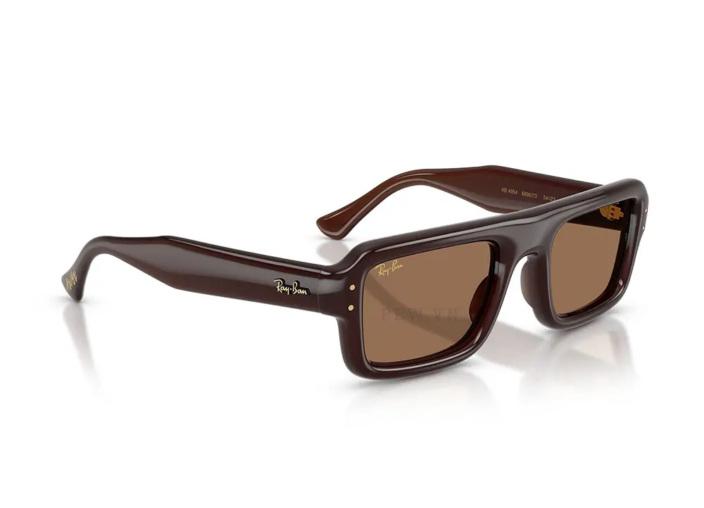 Kính mát Ray-Ban Flacko Puffer RB4954-6896/73(54)