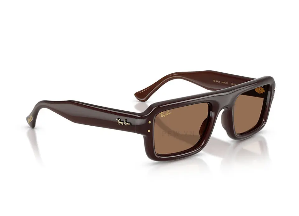 Kính mát Ray-Ban Flacko Puffer RB4954-6896/73(54)