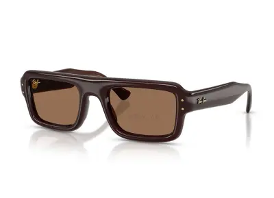Kính mát Ray-Ban Flacko Puffer RB4954-6896/73(54)