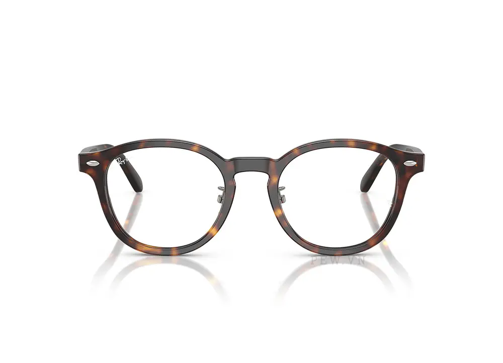 Gọng kính Ray-Ban RX5443D-2012(49)