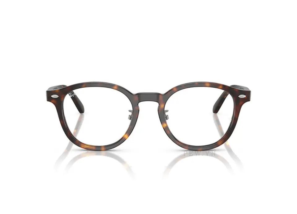 Gọng kính Ray-Ban RX5443D-2012(49)