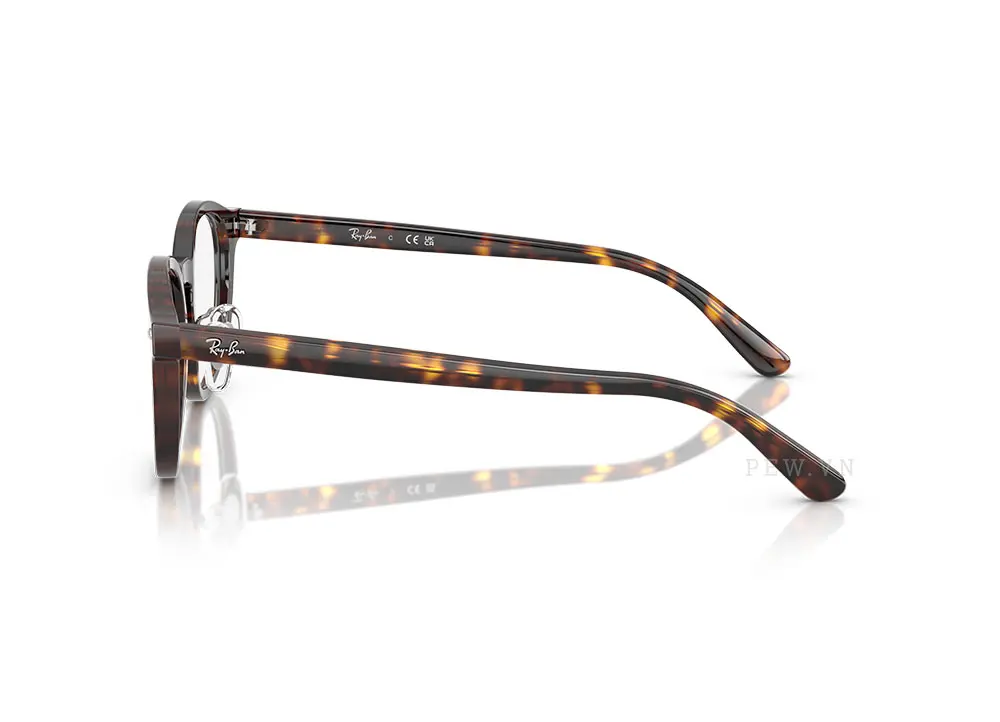 Gọng kính Ray-Ban RX5443D-2012(49)