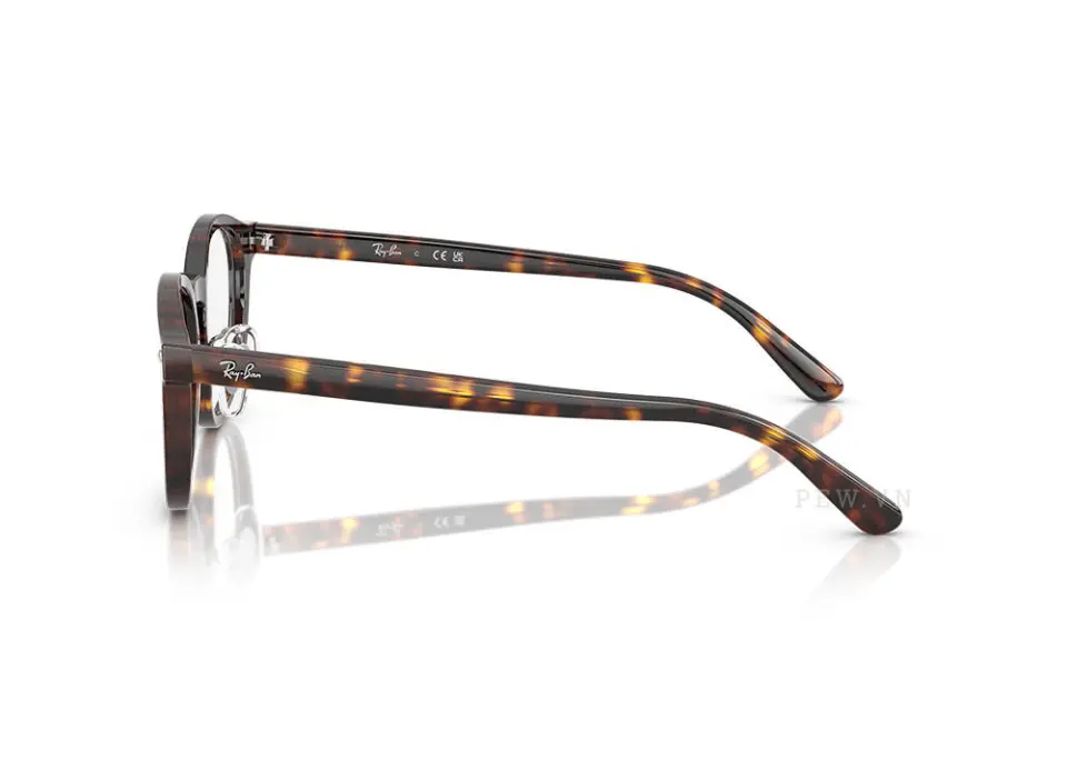 Gọng kính Ray-Ban RX5443D-2012(49)