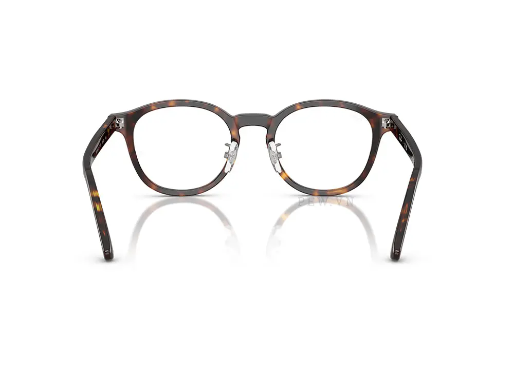 Gọng kính Ray-Ban RX5443D-2012(49)