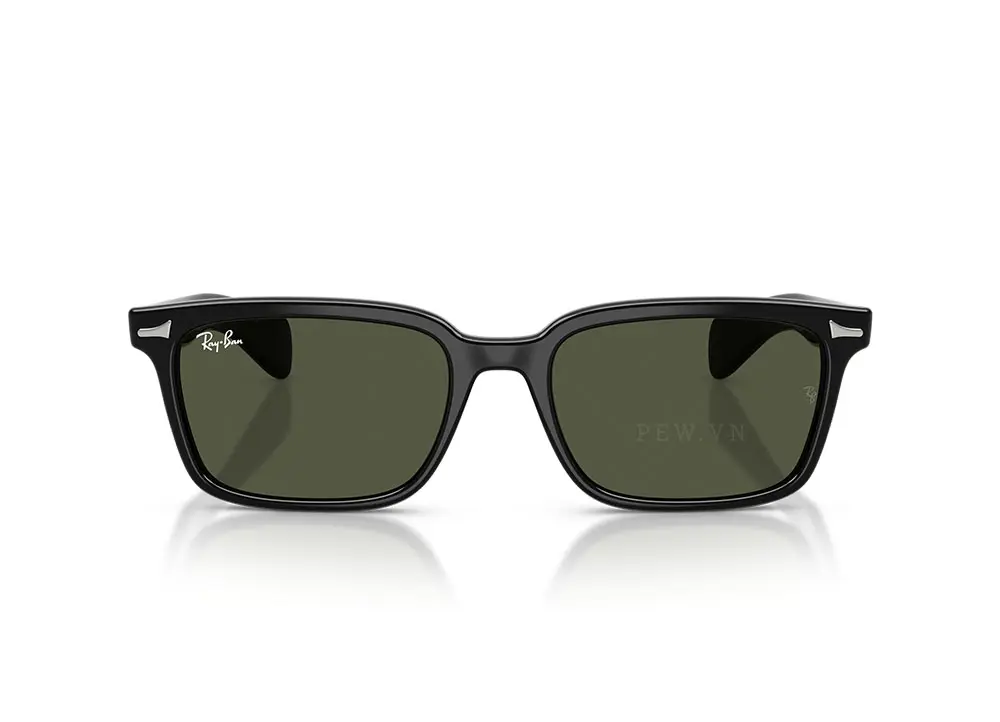 Kính mát Ray-Ban Brunel RB2234F-901/31(53)