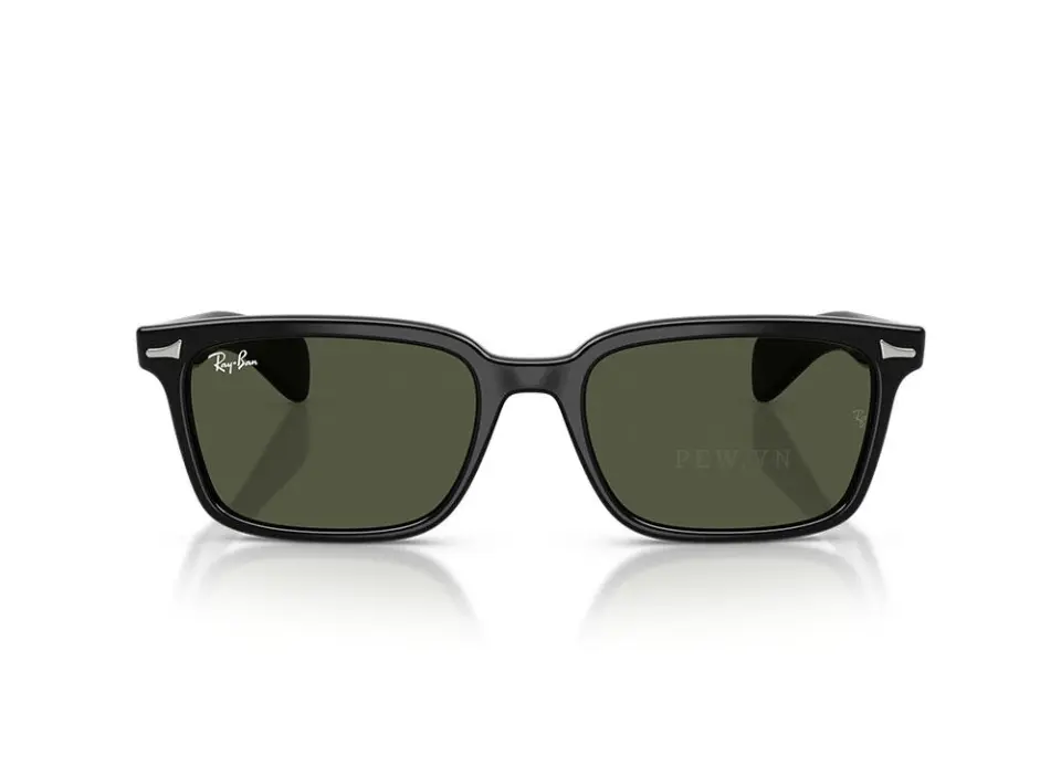 Kính mát Ray-Ban Brunel RB2234F-901/31(53)