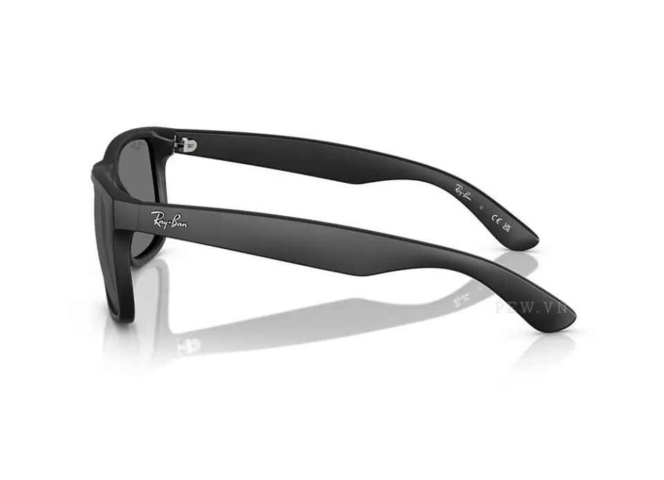 Kính mát Ray-Ban Justin RB4165F-622/6G(58)