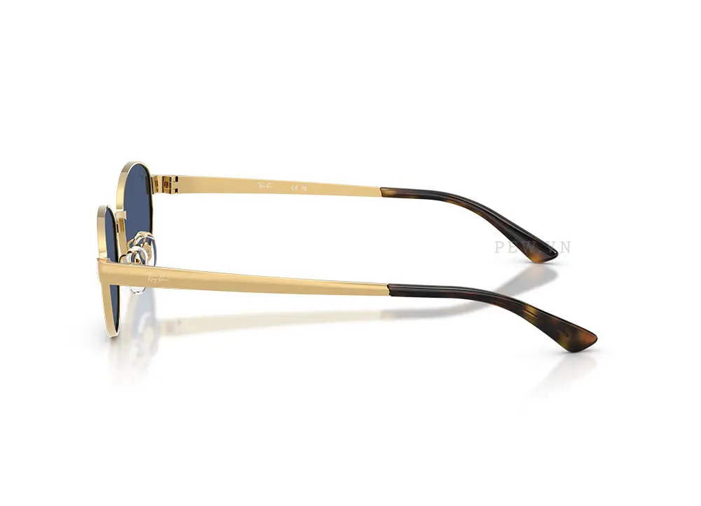 Kính mát Ray-Ban RB3774D-001/80(55)