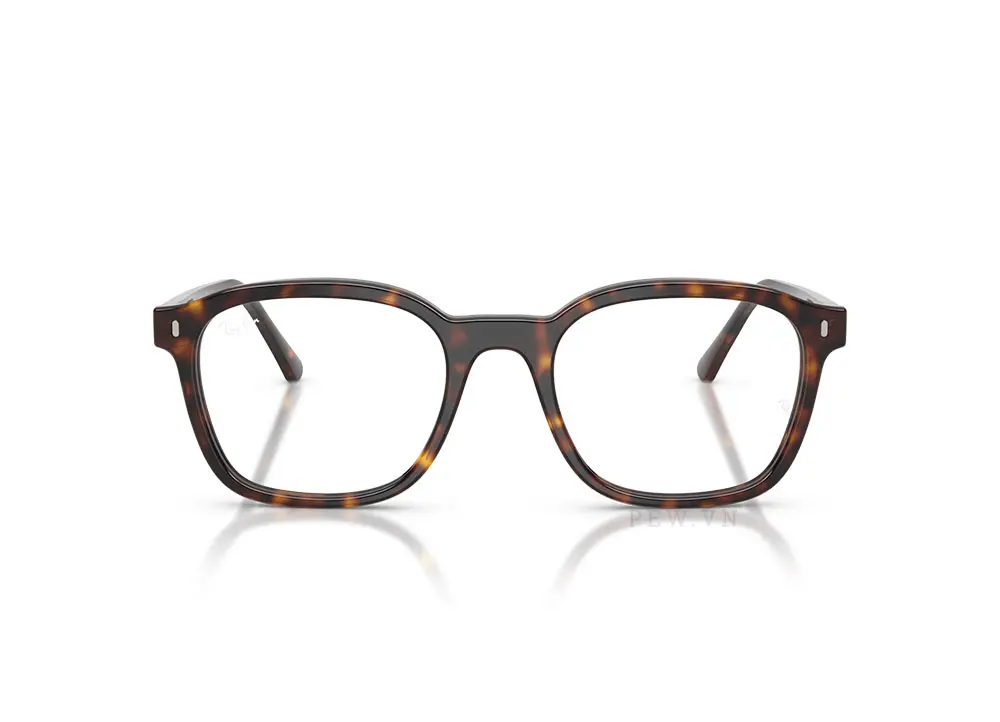 Gọng kính Ray-Ban RX5460-2012(52)