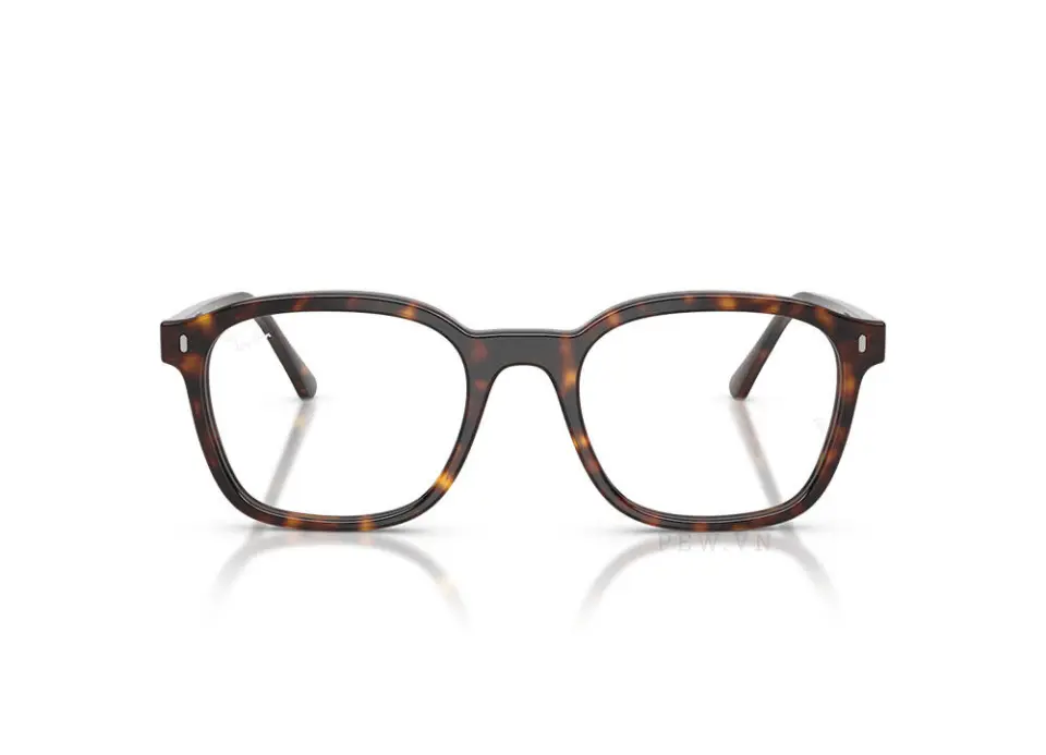 Gọng kính Ray-Ban RX5460-2012(52)
