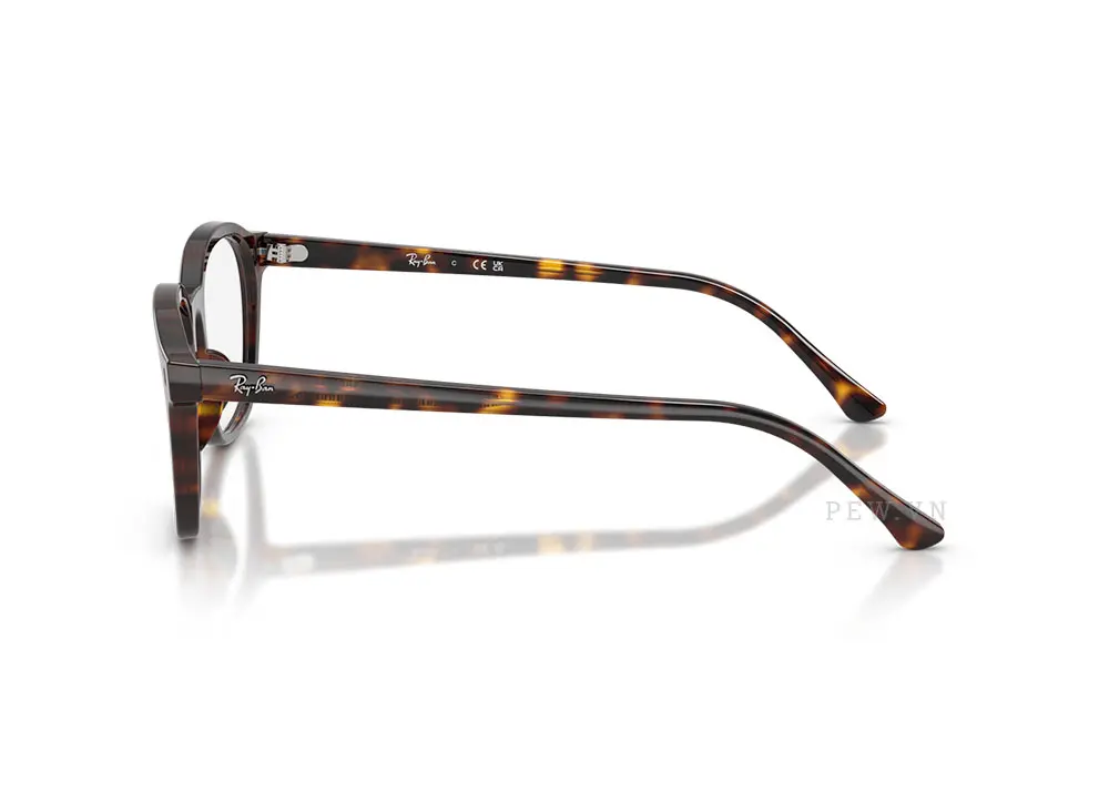 Gọng kính Ray-Ban RX5460-2012(52)