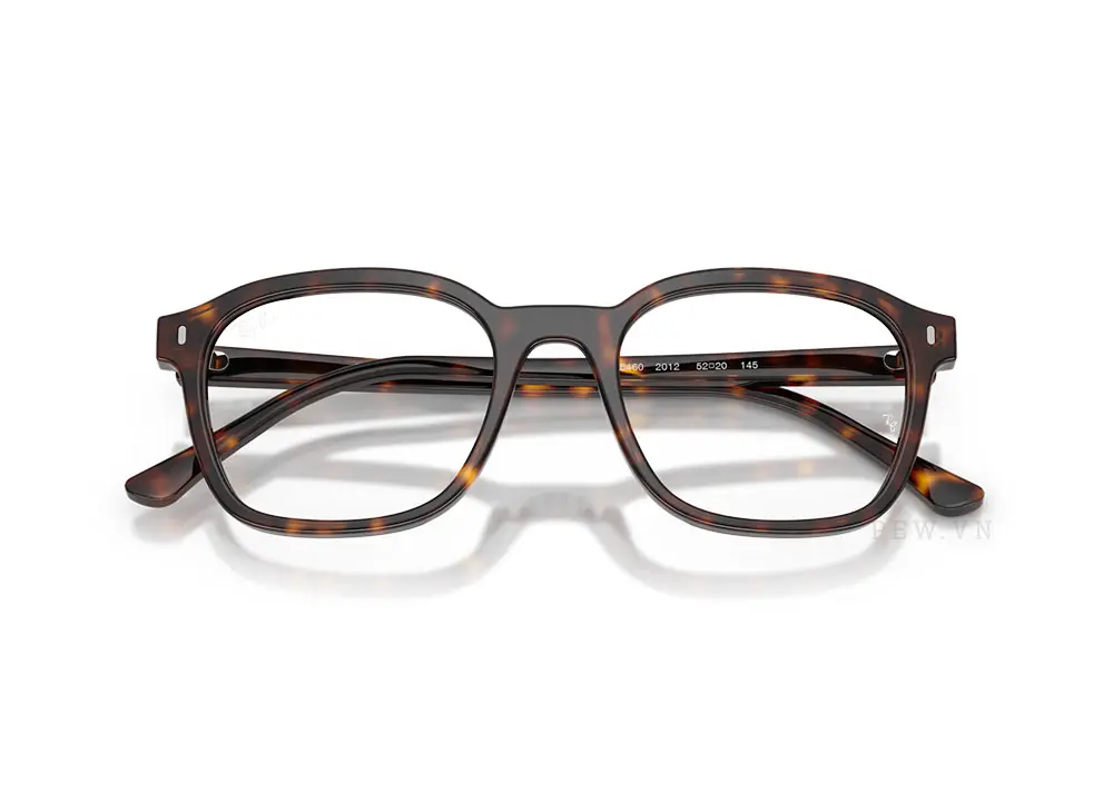 Gọng kính Ray-Ban RX5460-2012(52)