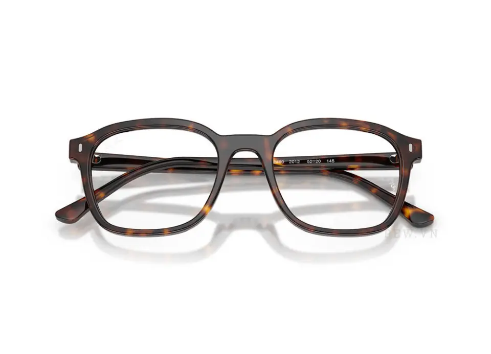 Gọng kính Ray-Ban RX5460-2012(52)