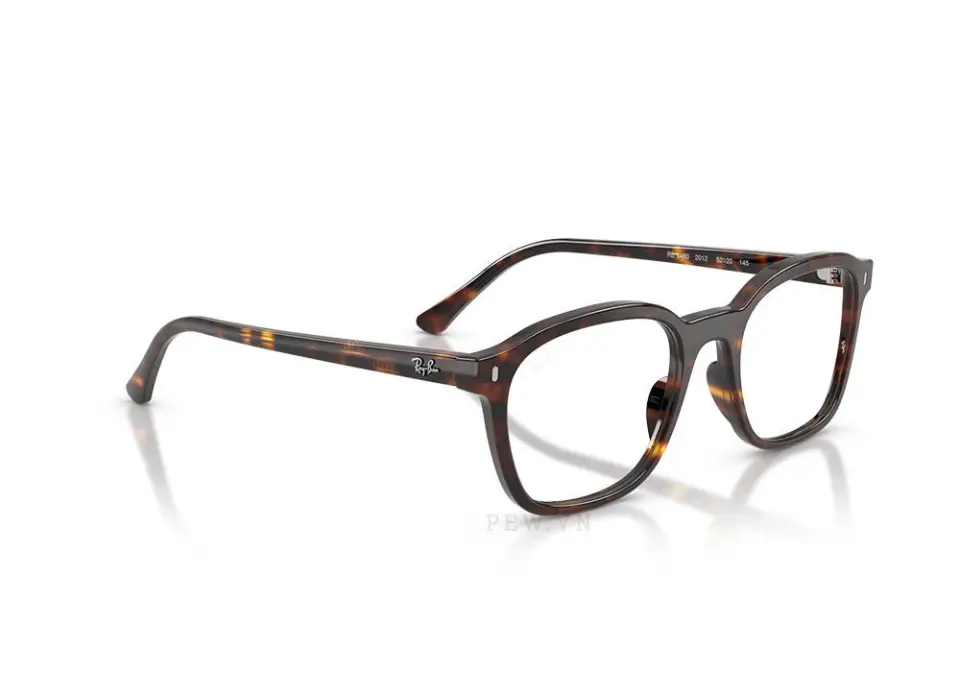Gọng kính Ray-Ban RX5460-2012(52)