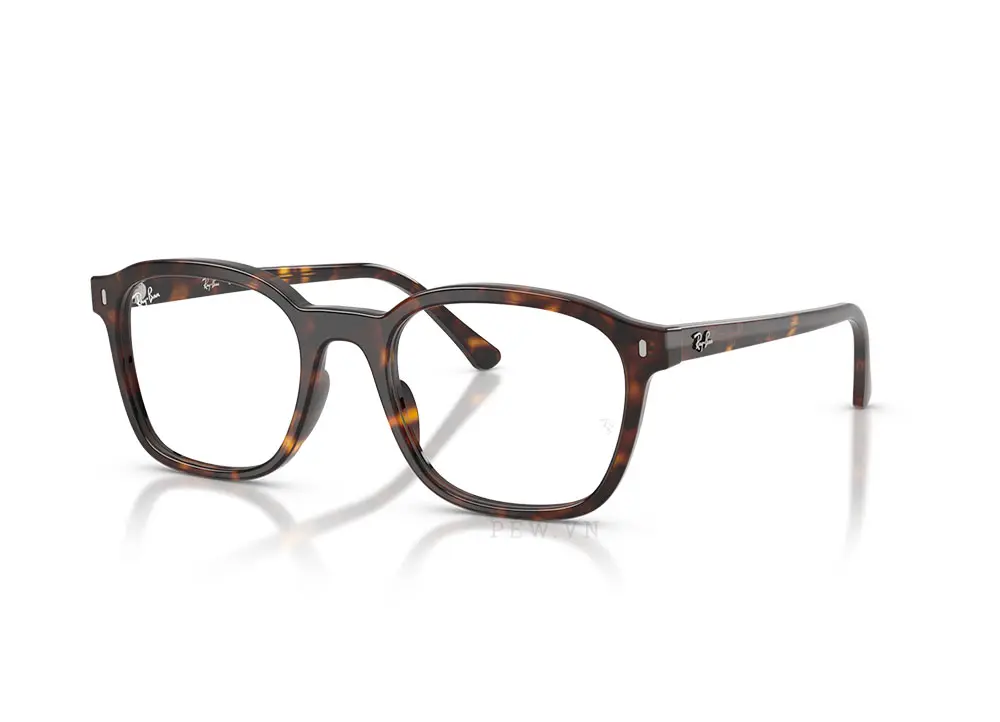 Gọng kính Ray-Ban RX5460-2012(52)