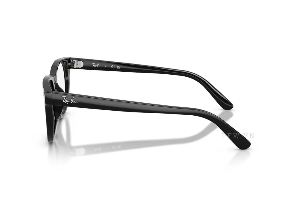 Gọng kính Ray-Ban RX5461D-2000(51)