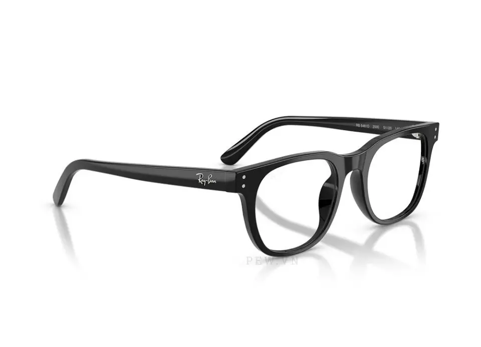 Gọng kính Ray-Ban RX5461D-2000(51)